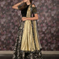 Rajwada Black Woven Semi Stitched Lehenga Set With Dupatta And Stitched Blouse For Women