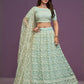 Rajwada Pista Green Net Embellished Lehenga For Women