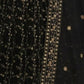 Rajwada Black Georgette Embellished Lehenga For Women