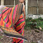 Rajwada - Classic Multicolor Georgette Sequins Saree with Unstitched Blouse
