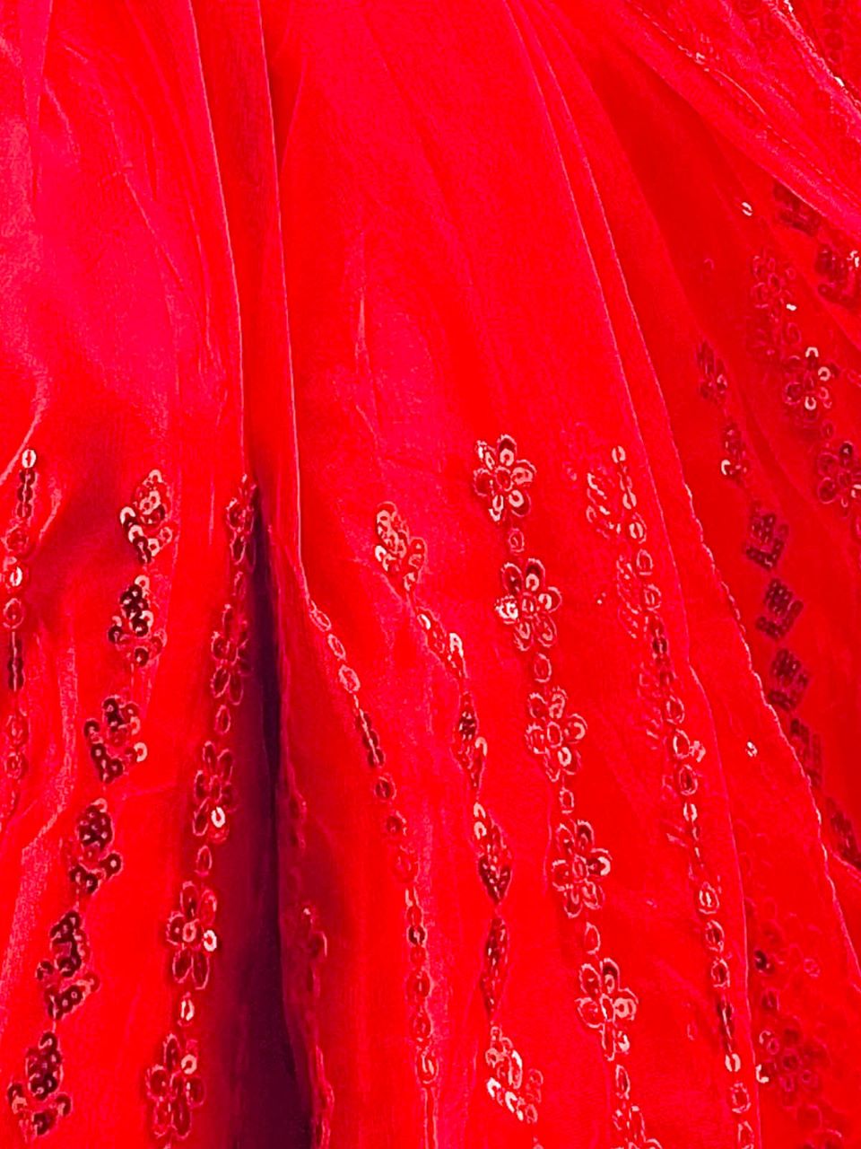 Rajwada Red Sequins Saree