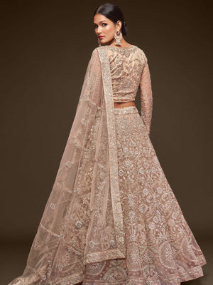 Rajwada Beige Soft Net Embellished Semi Stitched Lehenga With Unstitched Blouse For Women