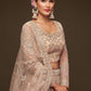 Rajwada Beige Soft Net Embellished Semi Stitched Lehenga With Unstitched Blouse For Women
