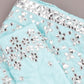 Aqua Blue Lehenga Choli - Rajwada