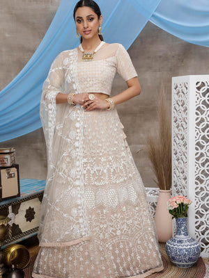 Beige Net Gota Patti Lehenga Set - Rajwada