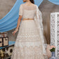Beige Net Gota Patti Lehenga Set - Rajwada