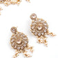 Enticing Gold Tone Choker with Earrings! - Rajwada