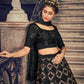 Impressive Black Net Sequins Lehenga Set - Rajwada