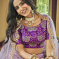 Light Purple Heavy Net Designer Lehenga Choli - Rajwada