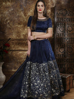 Navy Blue Organza Embroidered Lehenga - Rajwada