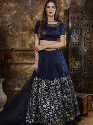 Navy Blue Organza Embroidered Lehenga - Rajwada