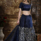 Navy Blue Organza Embroidered Lehenga - Rajwada