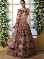 Peach Net Embroided  Anarkali - Rajwada