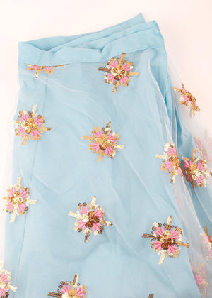 Pink & Blue Soft Net Lehenga - Rajwada