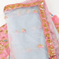 Pink & Blue Soft Net Lehenga - Rajwada