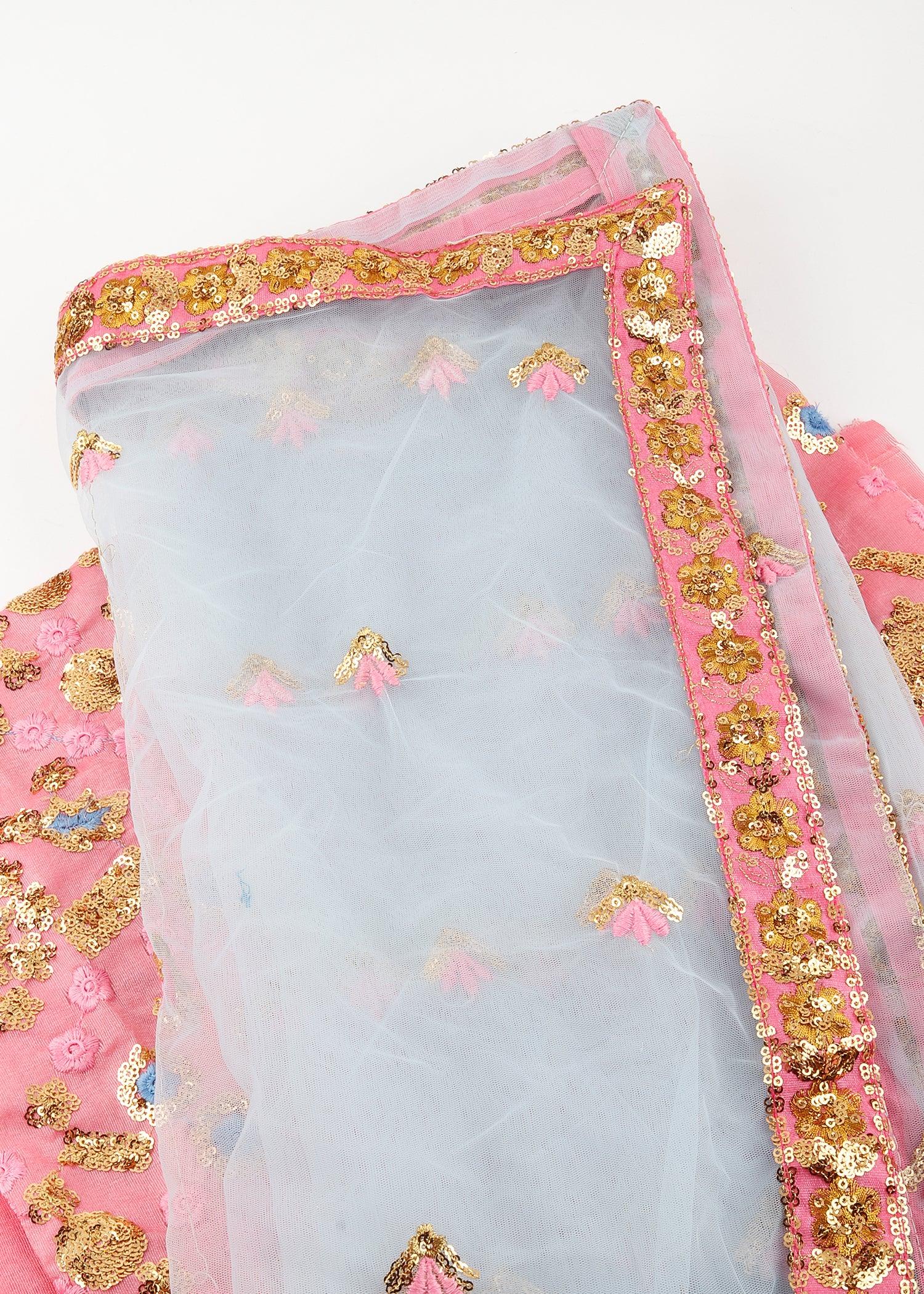 Pink & Blue Soft Net Lehenga - Rajwada