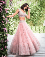 Pink Soft Net Lehenga - Rajwada