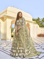Pistachio Green Fancy Net Lehenga Choli Set - Rajwada
