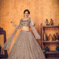 Pretty Dusty Net Lehenga Set - Rajwada