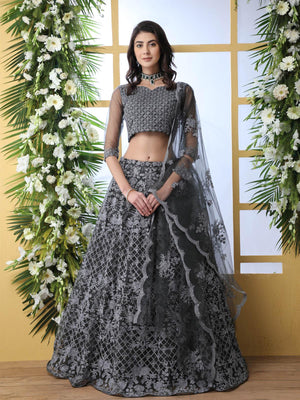 Pretty Grey Net Lehenga Choli Set - Rajwada