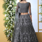 Pretty Grey Net Lehenga Choli Set - Rajwada