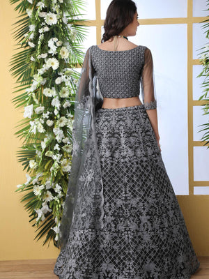 Pretty Grey Net Lehenga Choli Set - Rajwada