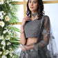 Pretty Grey Net Lehenga Choli Set - Rajwada