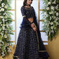 Pretty Navy Blue Net Lehenga Choli Set - Rajwada