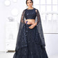 Pretty Navy Net Lehenga Set - Rajwada