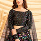 Sizzling Black Tafetta Silk Lehenga - Rajwada