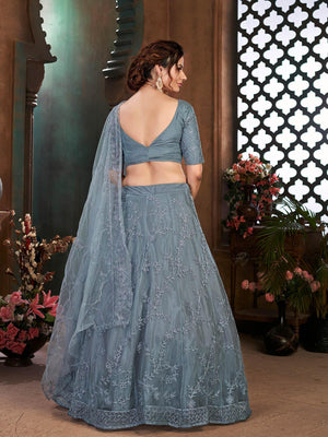 Striking Grey Net Lehenga Set - Rajwada