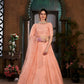 Striking Peach Net Lehenga Set - Rajwada