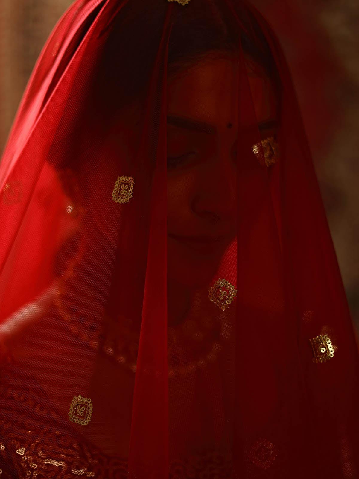 Striking Red Net Lehenga Set - Rajwada
