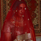 Striking Red Net Lehenga Set - Rajwada