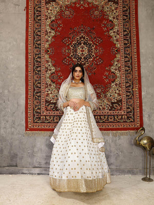 Striking White Net Lehenga Set - Rajwada