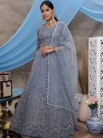 Stunning Grey Net Lehenga Choli Set - Rajwada