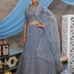 Stunning Grey Net Lehenga Choli Set - Rajwada