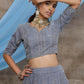 Stunning Grey Net Lehenga Choli Set - Rajwada