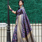 Stunning Woven Navy Banarasi Silk Saree - Rajwada