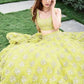 Stylish Yellow Lehenga Choli - Rajwada